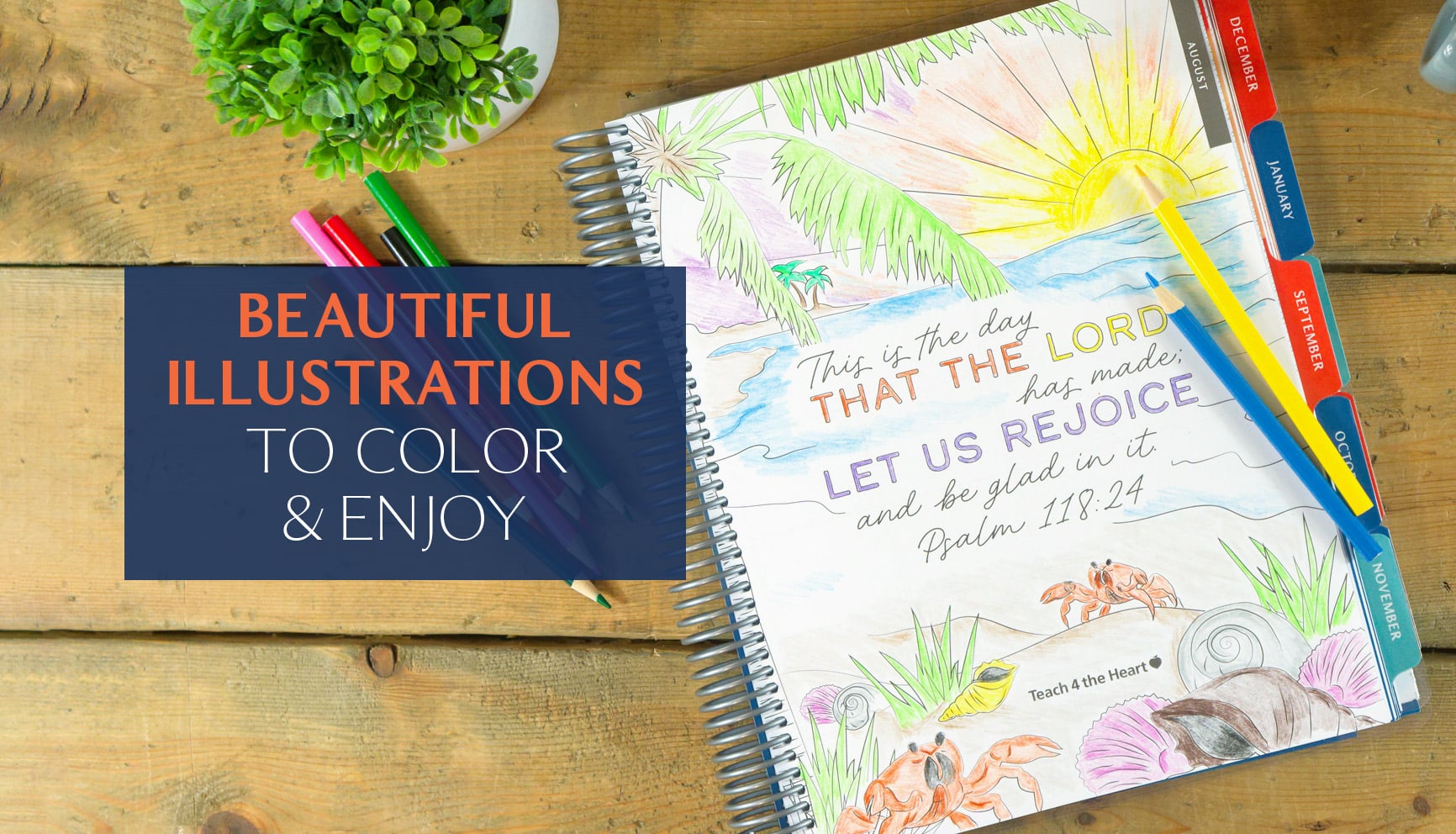 Beautiful illustrations to color and enjoy in this teacher planner